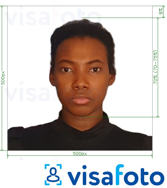 ຕົວຢ່າງຮູບພາບສໍາລັບ Kenya e-visa online 500x500 pixels ພ້ອມມີຂໍ້ກໍານົດຂະໜາດທີ່ແນ່ນອນ